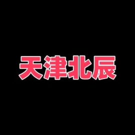 天津北辰一条街